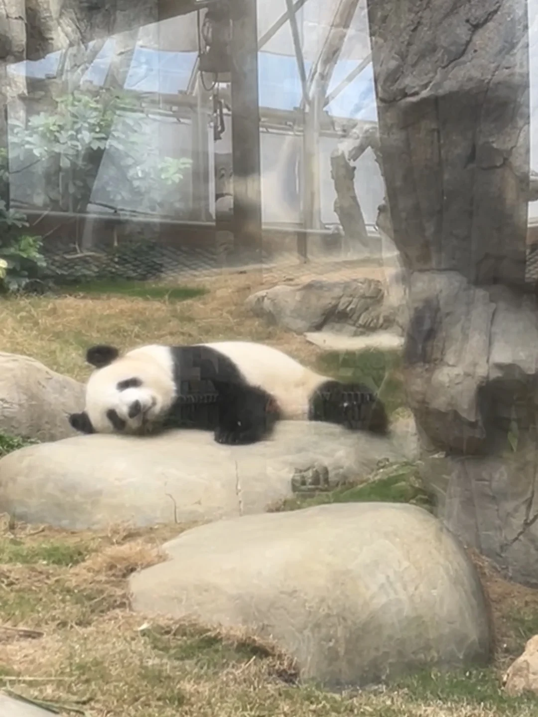 香港海洋公园小tips！