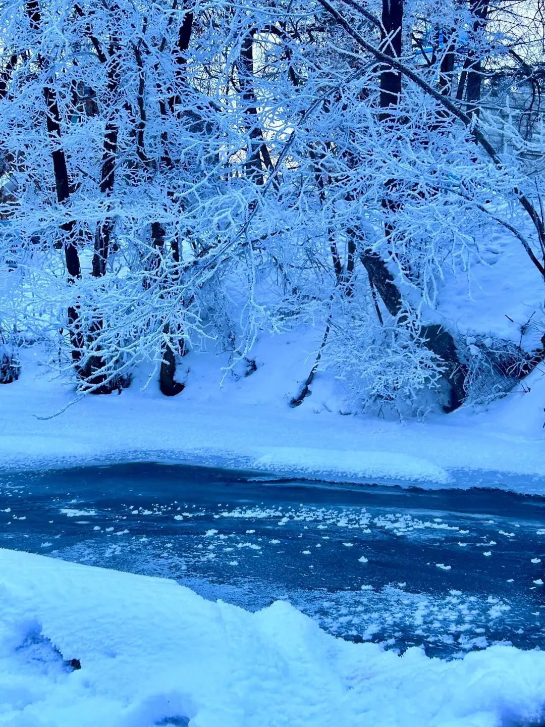 11.21长白山漂流已回，踩雷踩到崩溃