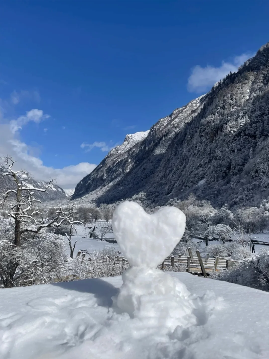 四姑娘山一日游纯玩团168💰，含门票+车费