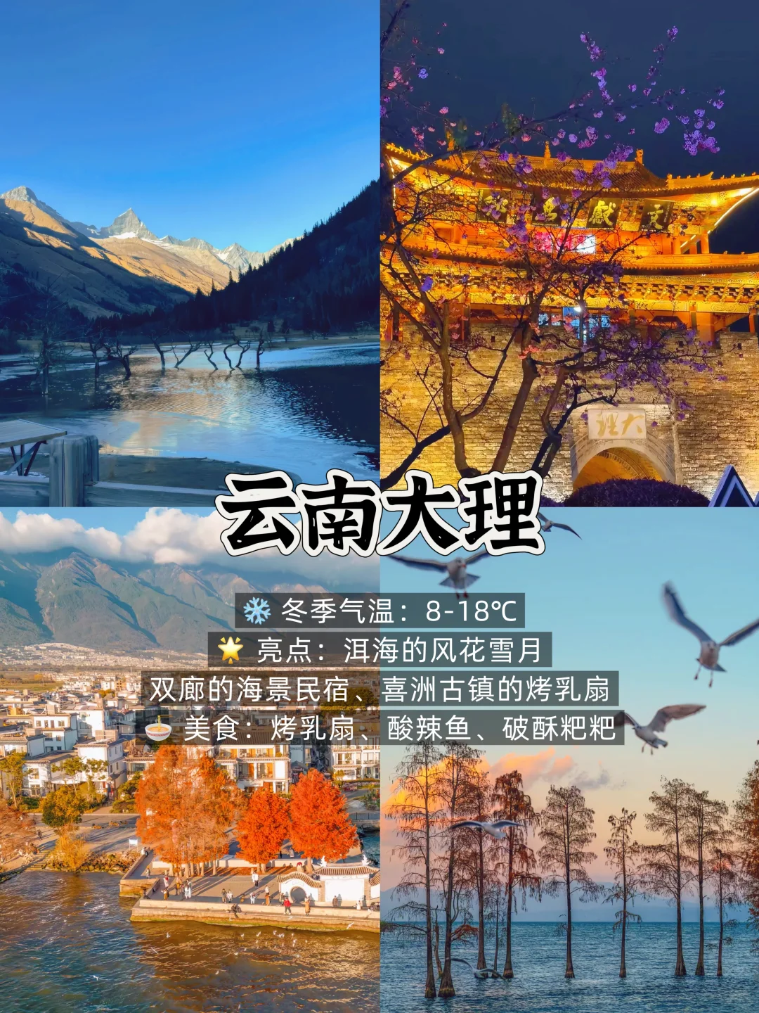 冬季反向游 ❄️假期就去这9个温暖城市吧！