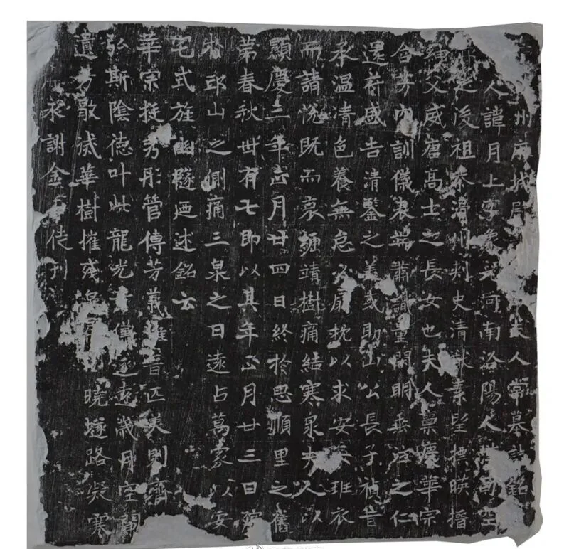 3000年文字的温度，国花园里的免费宝藏！