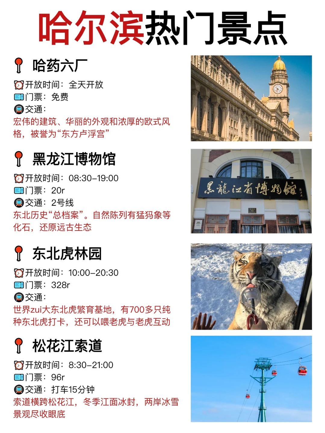 为什么我去哈尔滨旅游前没刷到这篇攻略😭