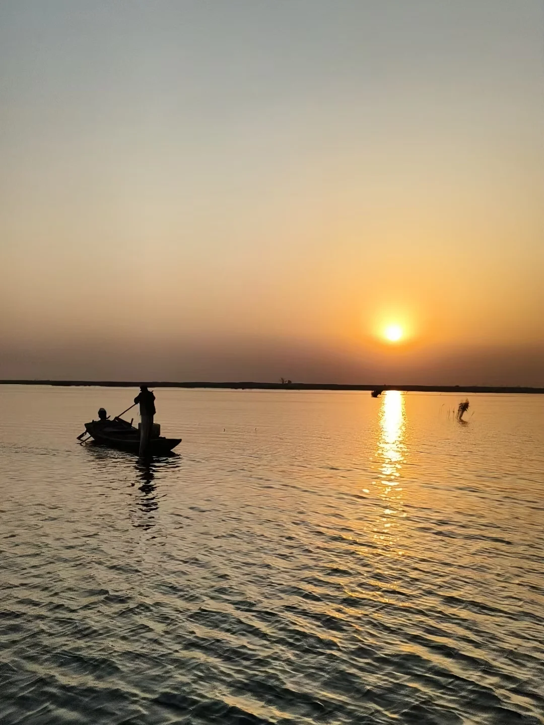 白洋淀野趣全家福攻略，商家实拍