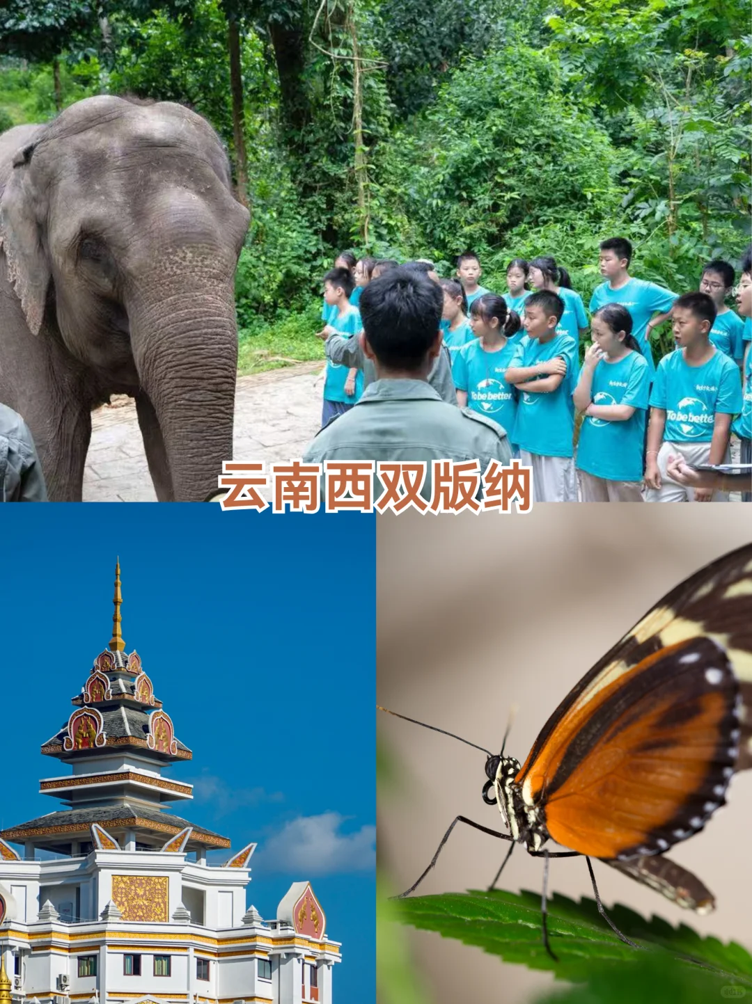 寒假躺平式遛娃路线，不费妈还超好玩！