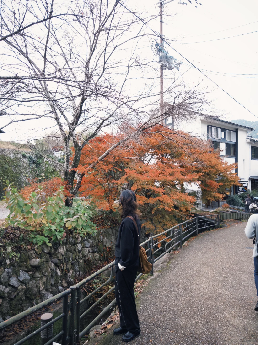 京都的美无法复刻