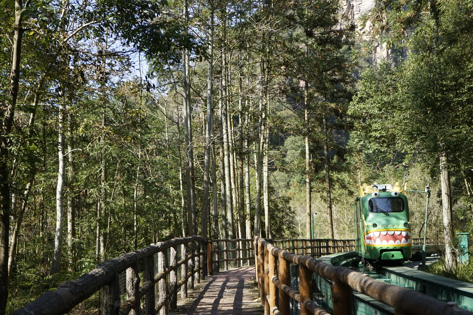 张家界攻略！避坑 + 省时