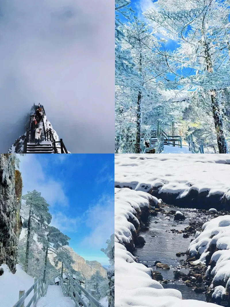 昆明轿子雪山🔥 包车人均200+真香❗❗