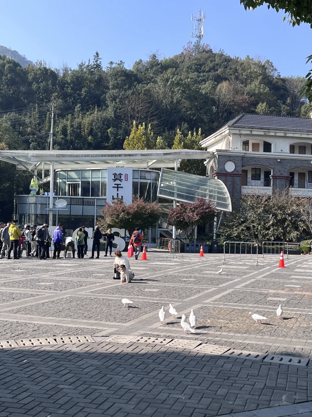 莫干山赏秋，美得太超过了！