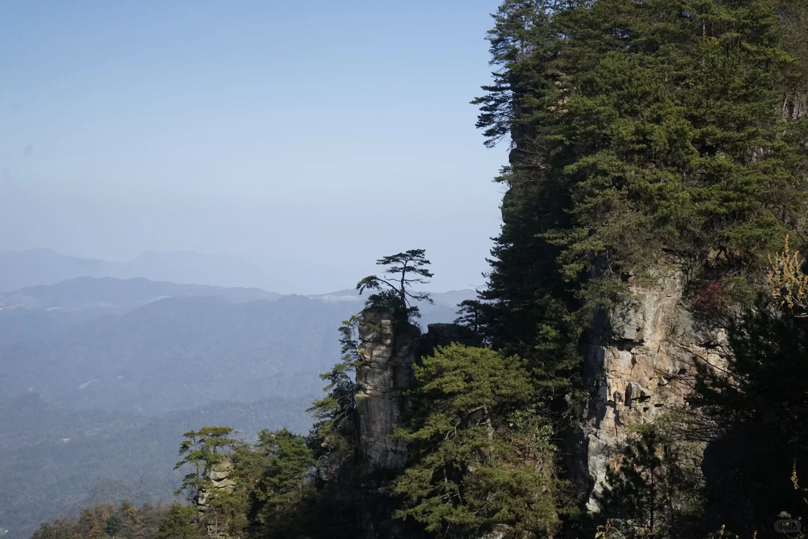 张家界攻略！避坑 + 省时
