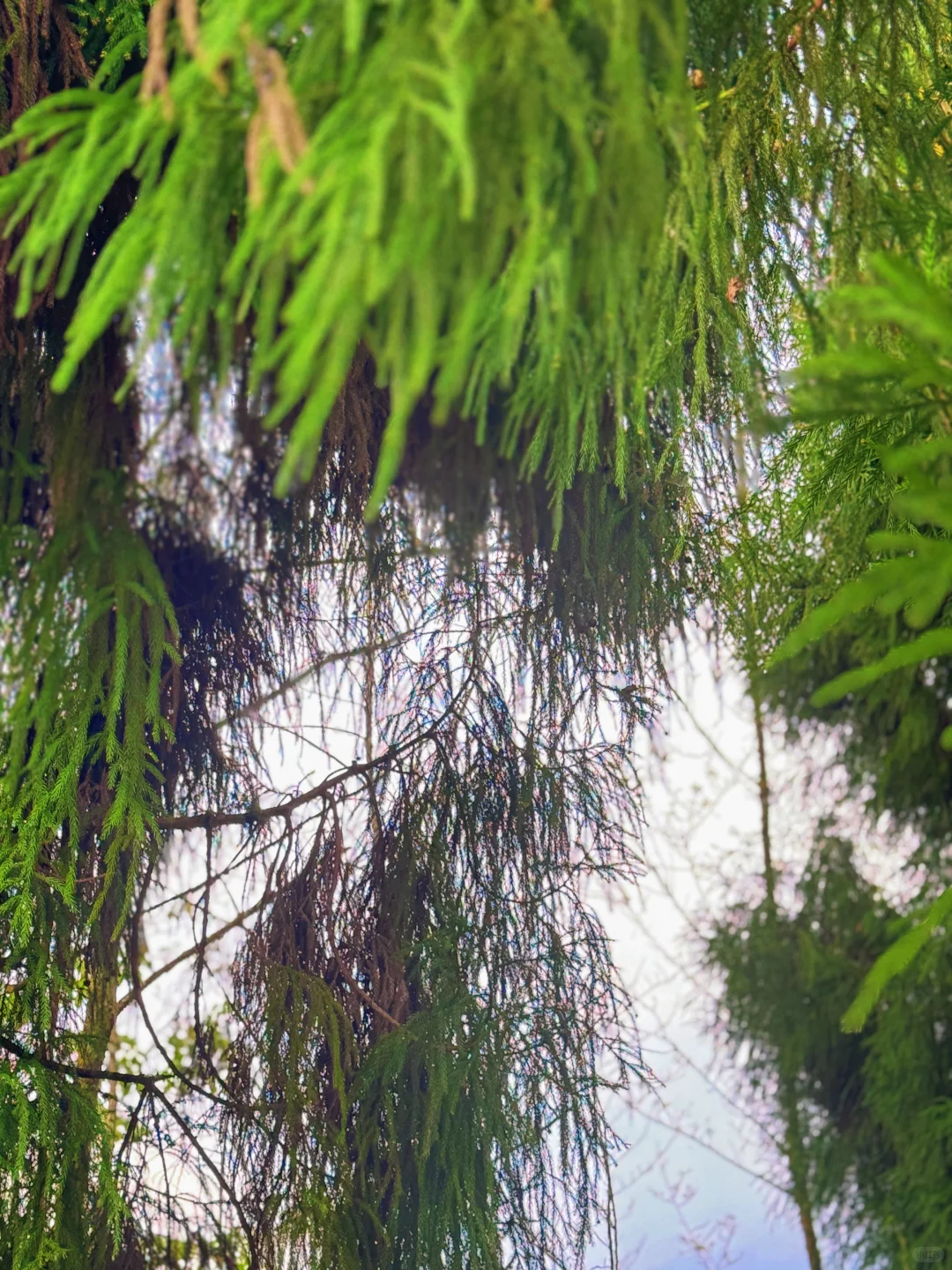 太阳湾景区避雷避雷