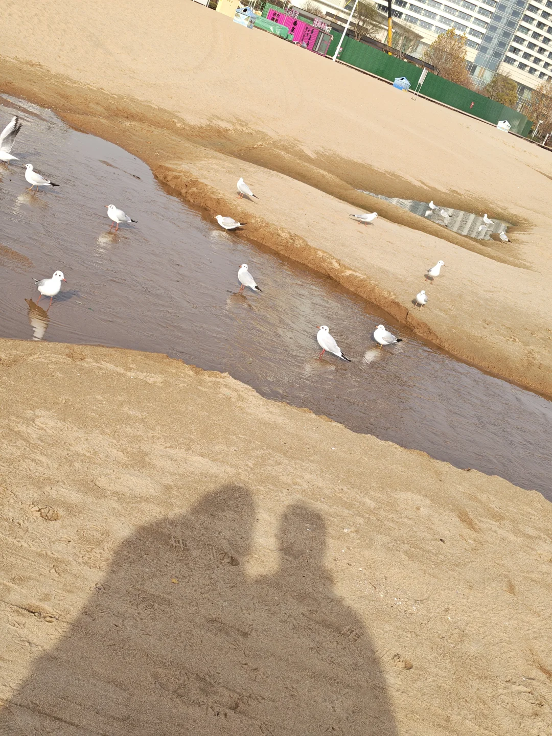 人生重启计划打卡 | 第 201 天