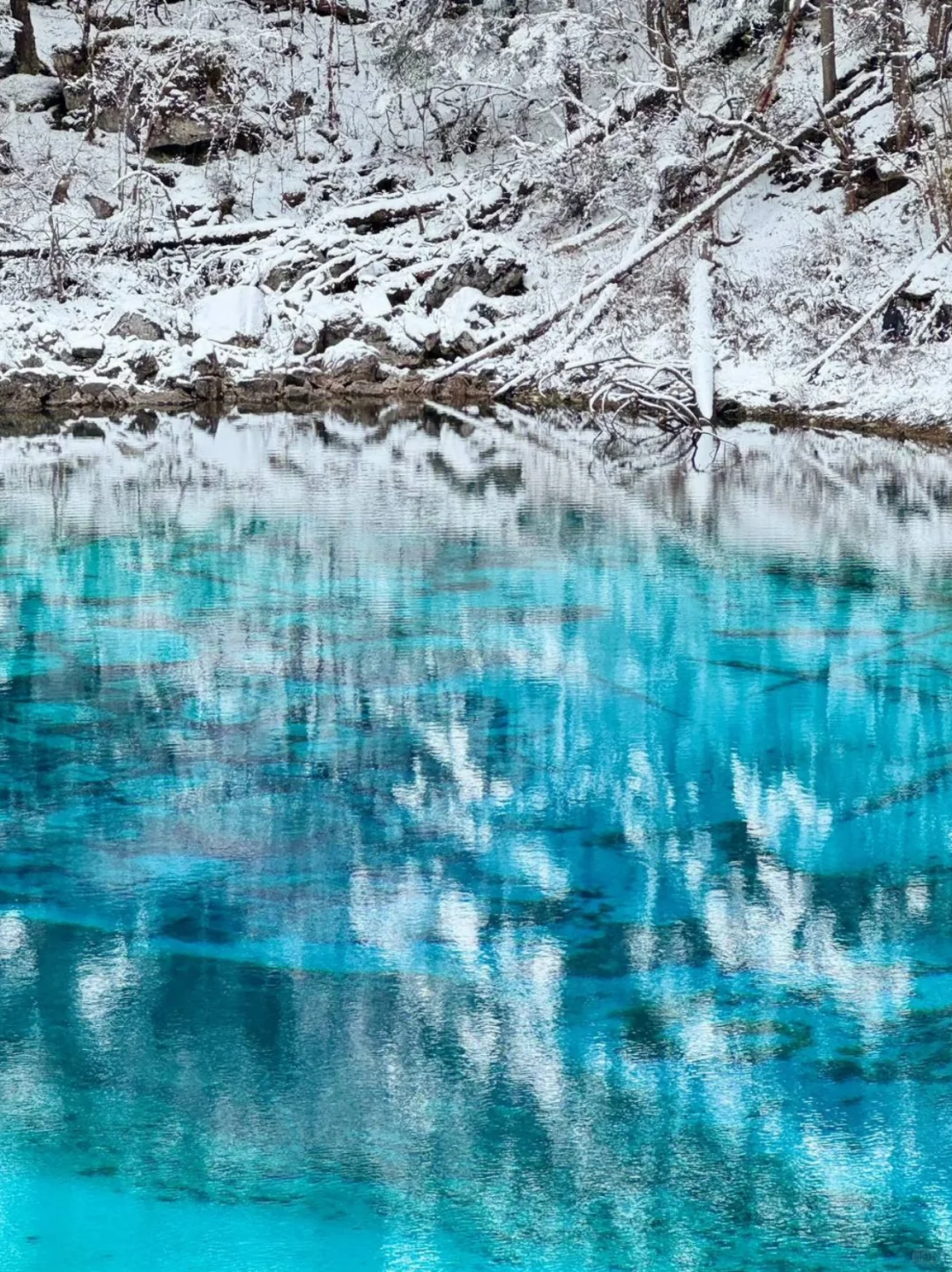 九寨环线攻略✅路线选择➕打卡景点