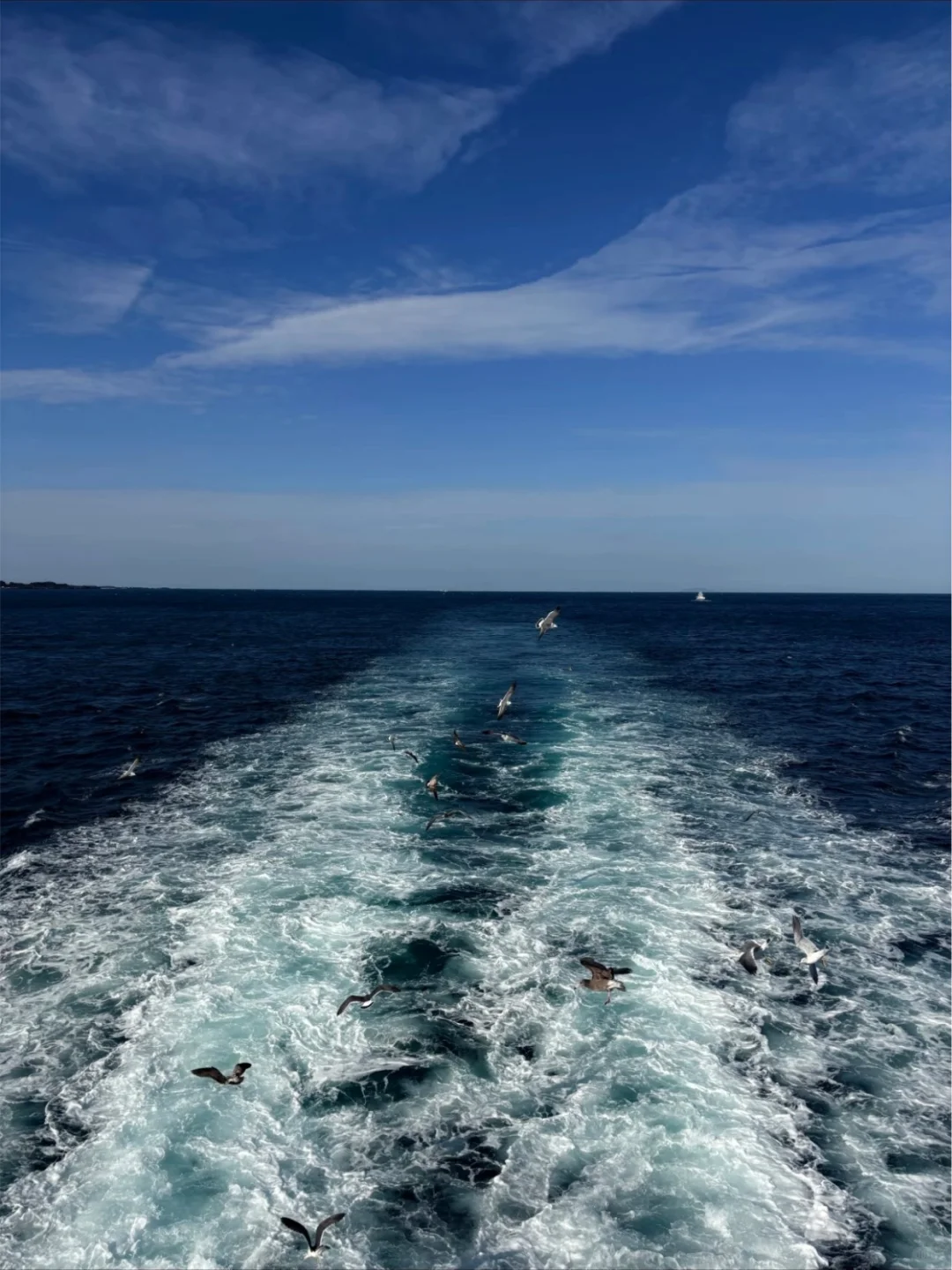 济州岛景点分布图 | 教你怎么玩遍济州岛