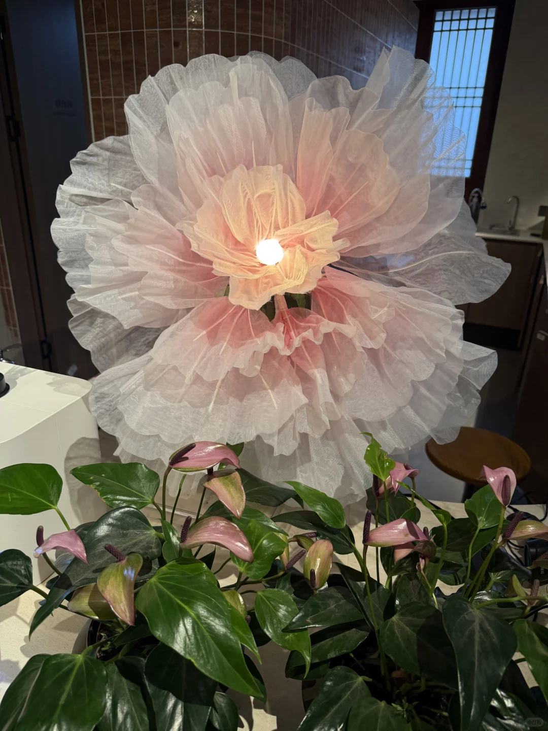 溱洧水城！真的不在江南！属于郑州的水乡！