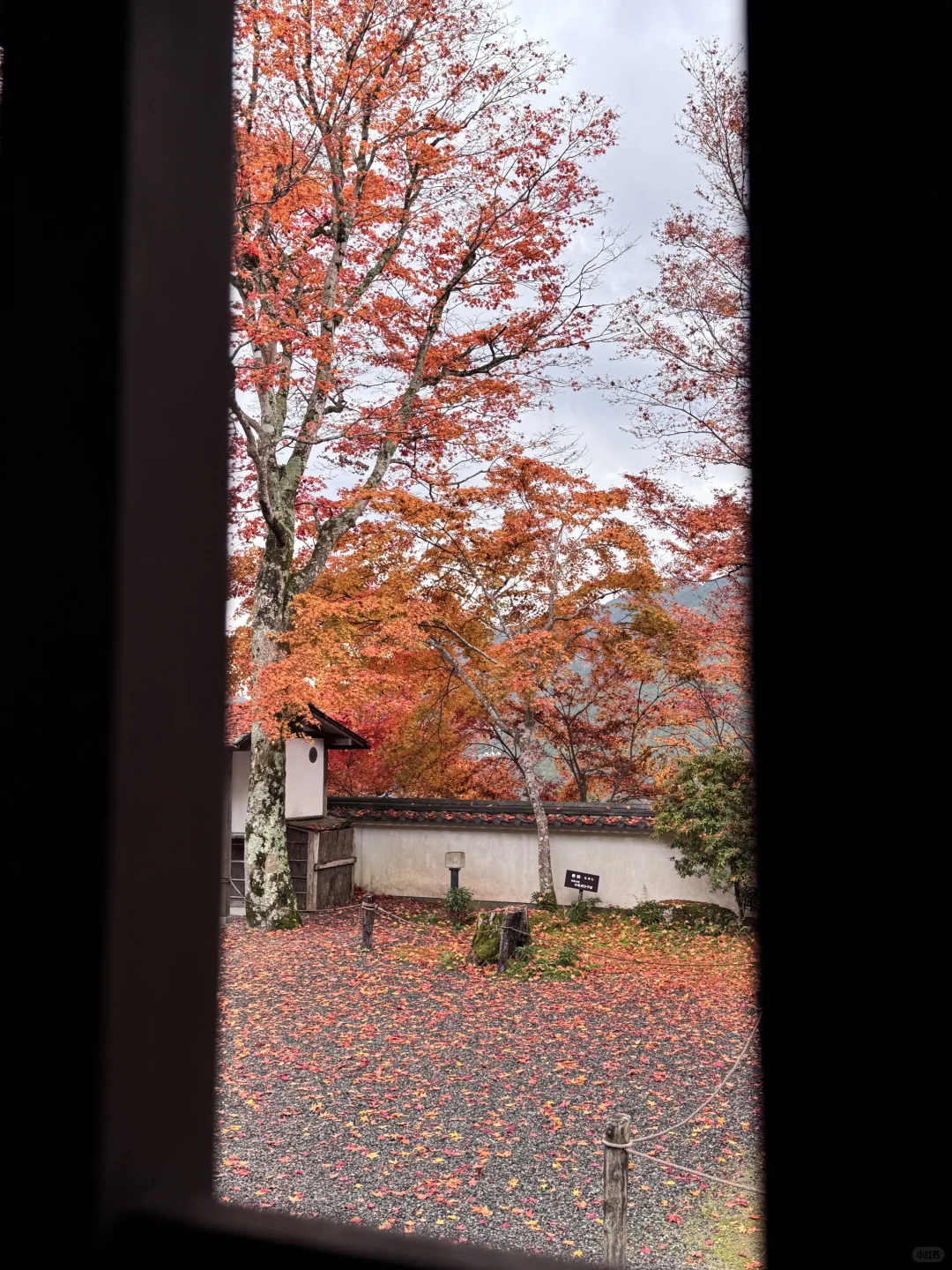 京都的美无法复刻