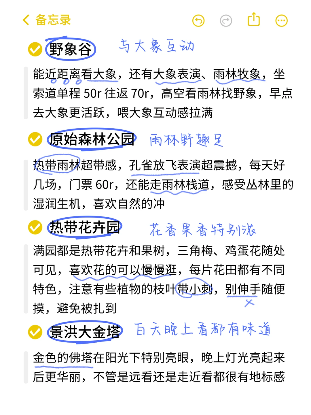 11.23西双版纳已回！复盘超详细保姆级攻略