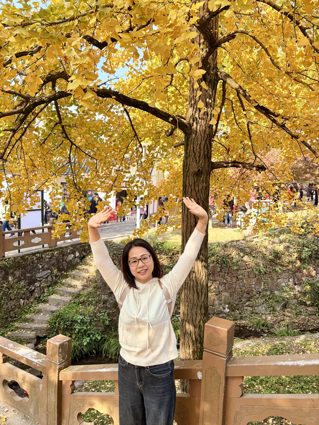 交换一张你拍的银杏吧