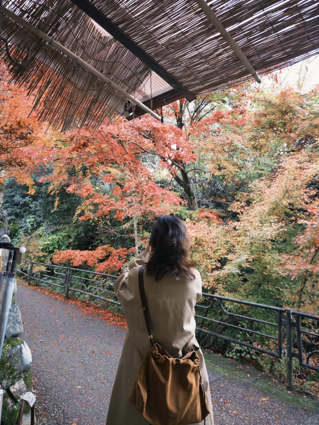 京都的美无法复刻