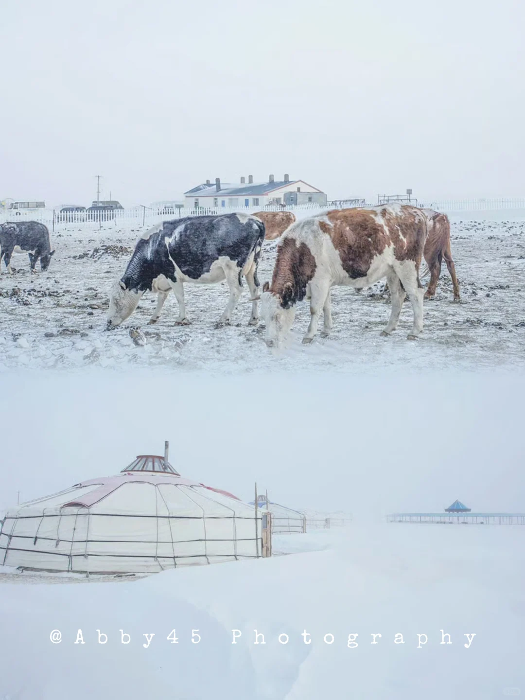 中国冷极：总要趁早趁年轻去一次