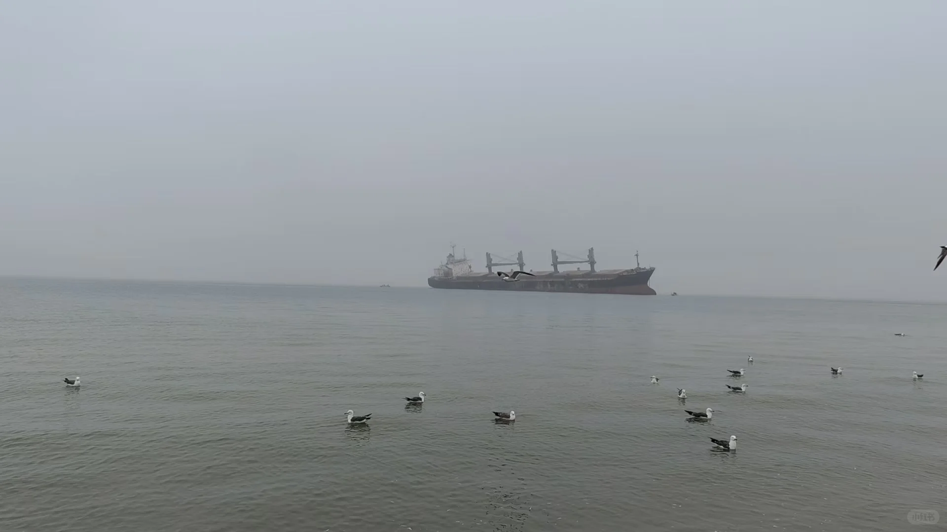 世界各地朋友加入我们一起旅游聊天吧