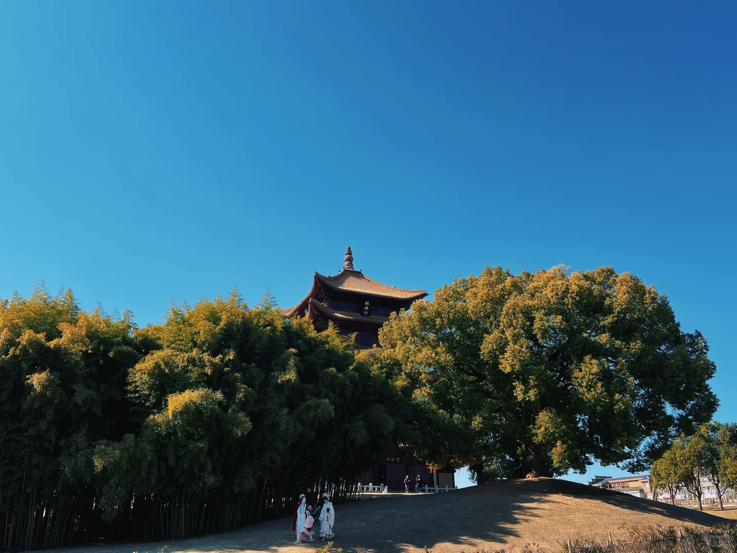 景德镇御窑游览｜皇家瓷韵+干货不踩雷✅