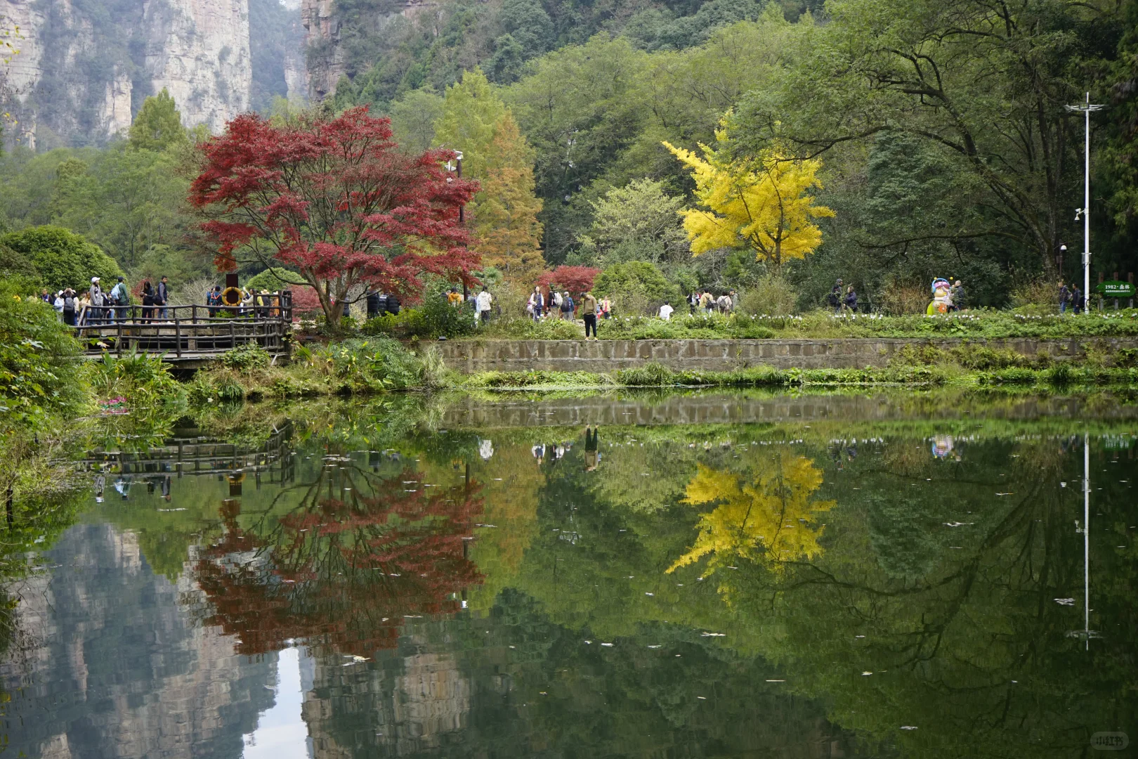 张家界攻略！避坑 + 省时