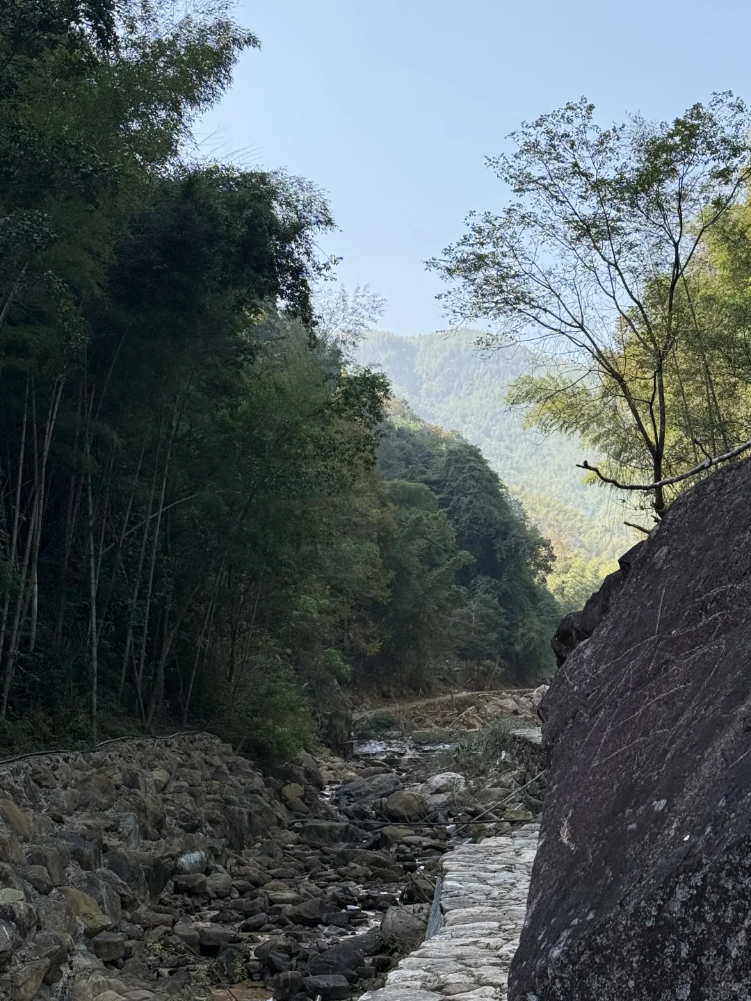 风声，鸟叫声和流水声，倾听大自然的声音