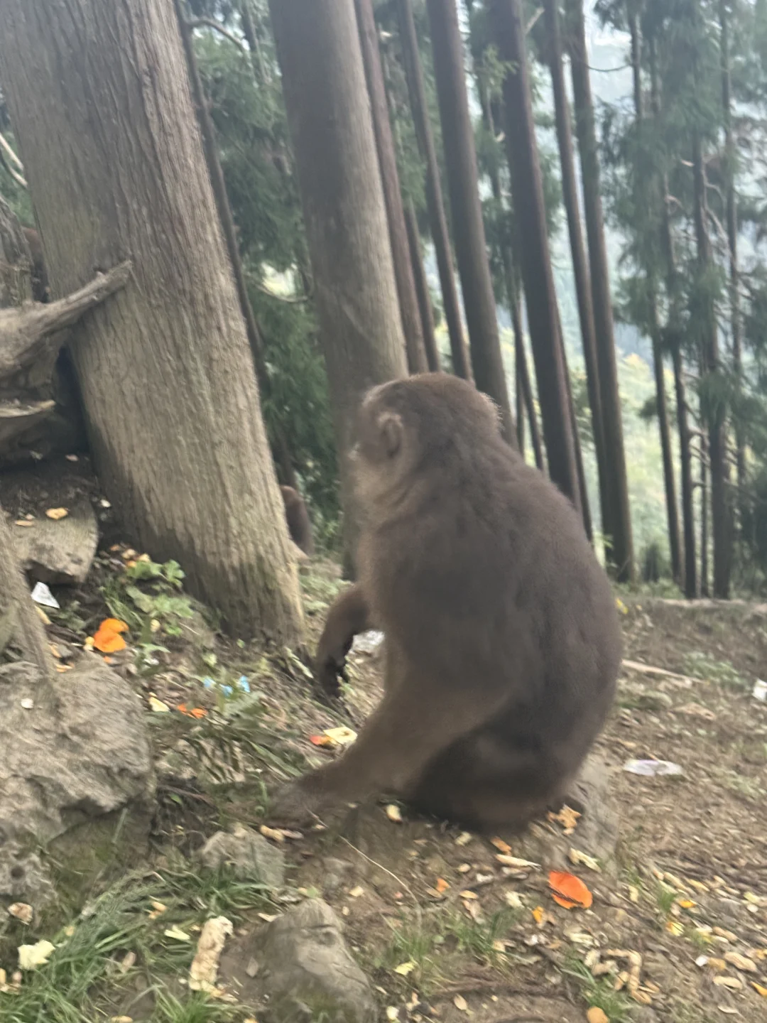 太阳湾景区避雷避雷