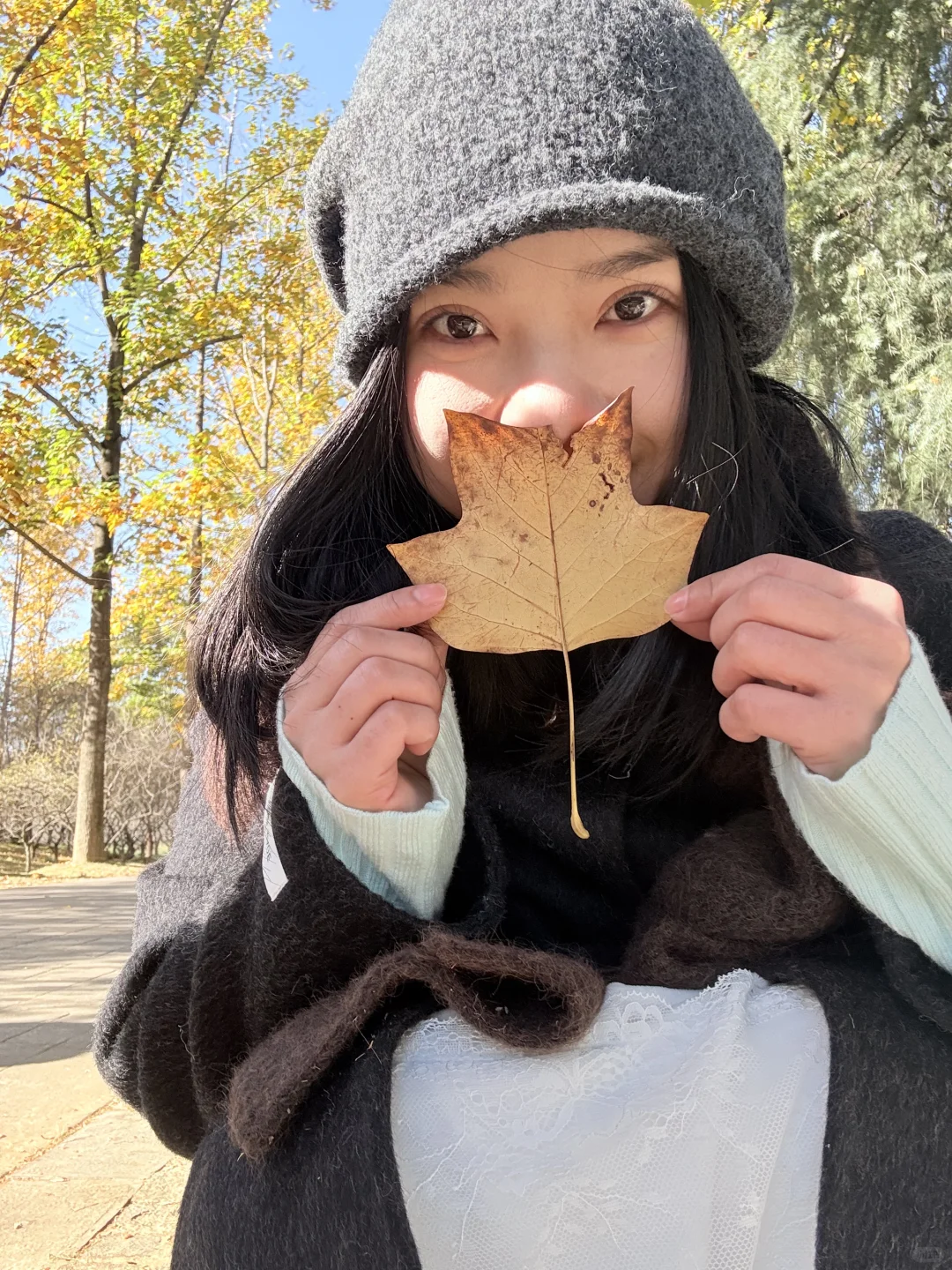秋天可太好拍啦！🍂