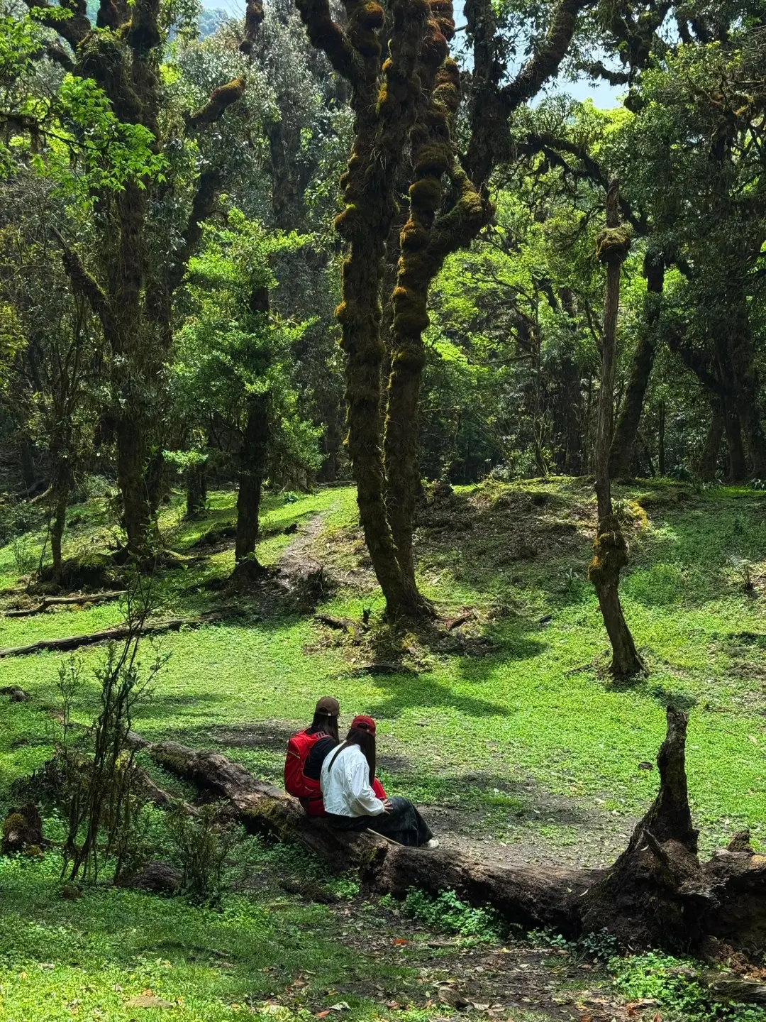 云南旅游｜腾冲旅游攻略来啦✅保姆级攻略❗