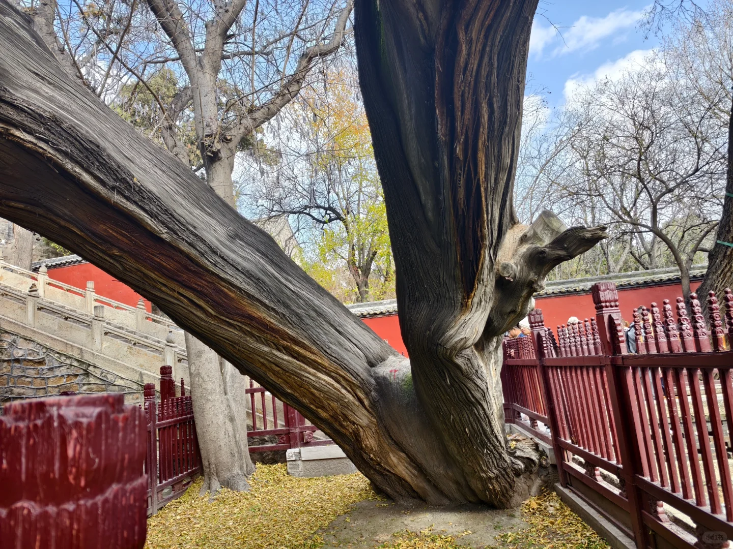 山西晋祠之旅:三晋之胜