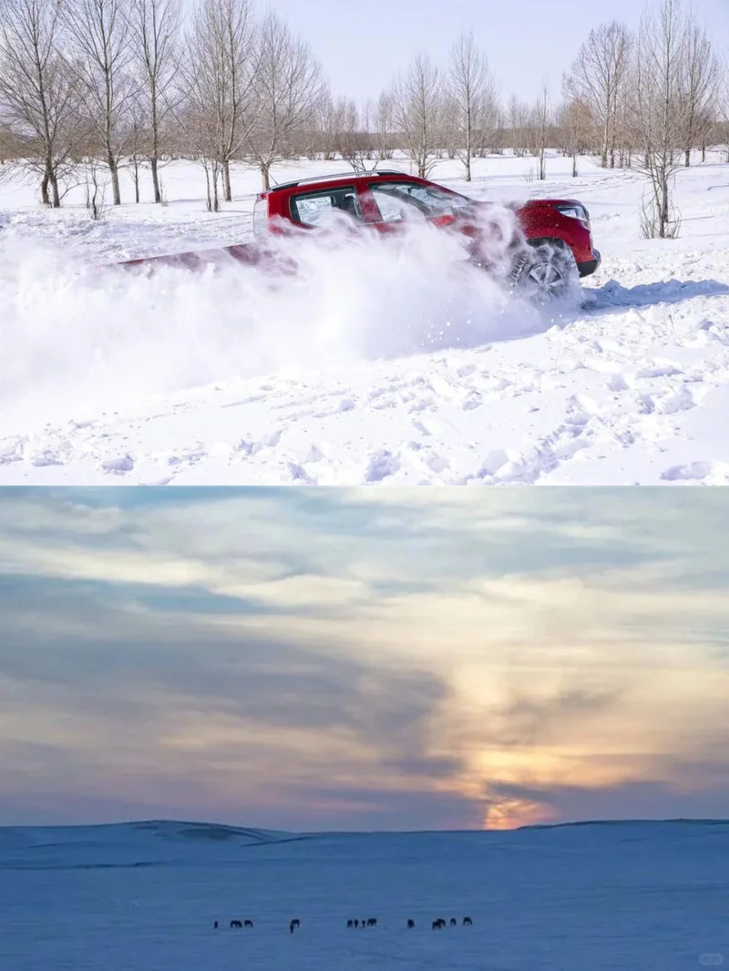 锡林郭勒冬日梦幻旅游攻略