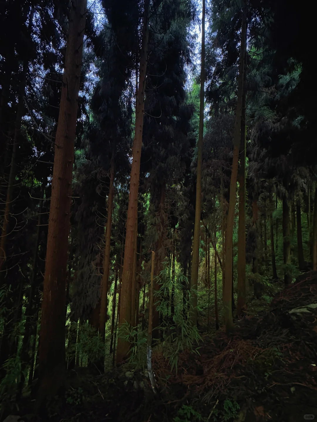 太阳湾景区避雷避雷