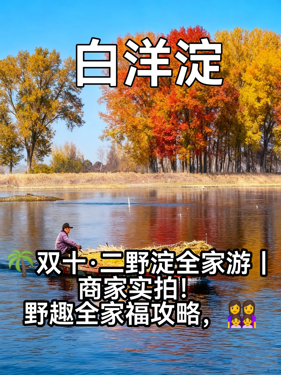 白洋淀野趣全家福攻略，商家实拍