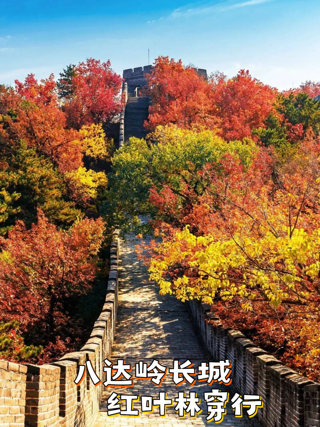 💯北京旅游丨八达岭长城赏秋看红叶指南