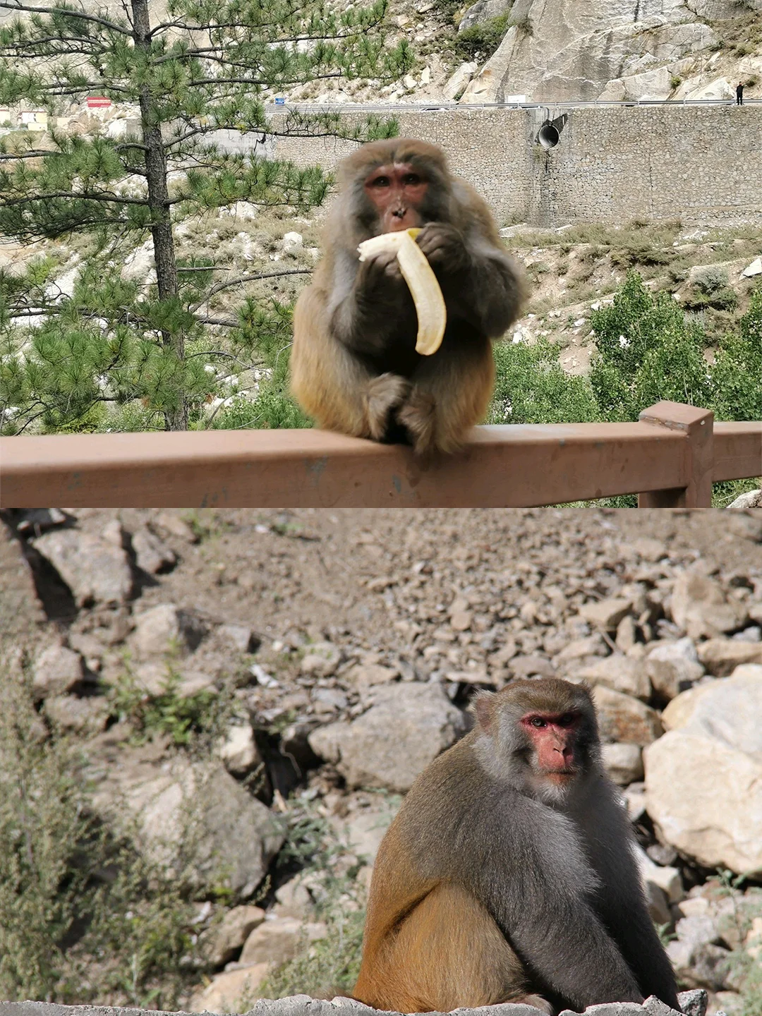 初到西藏怎么玩❓6天5晚超绝体验行程请收好