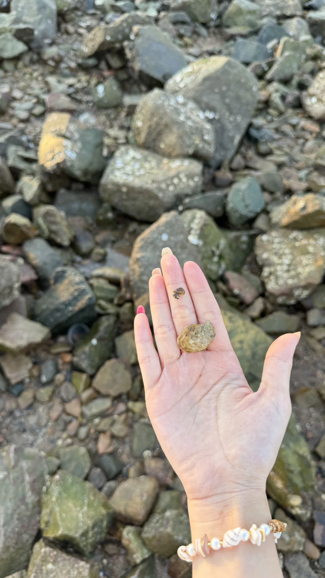 鄂尔多斯景区招聘