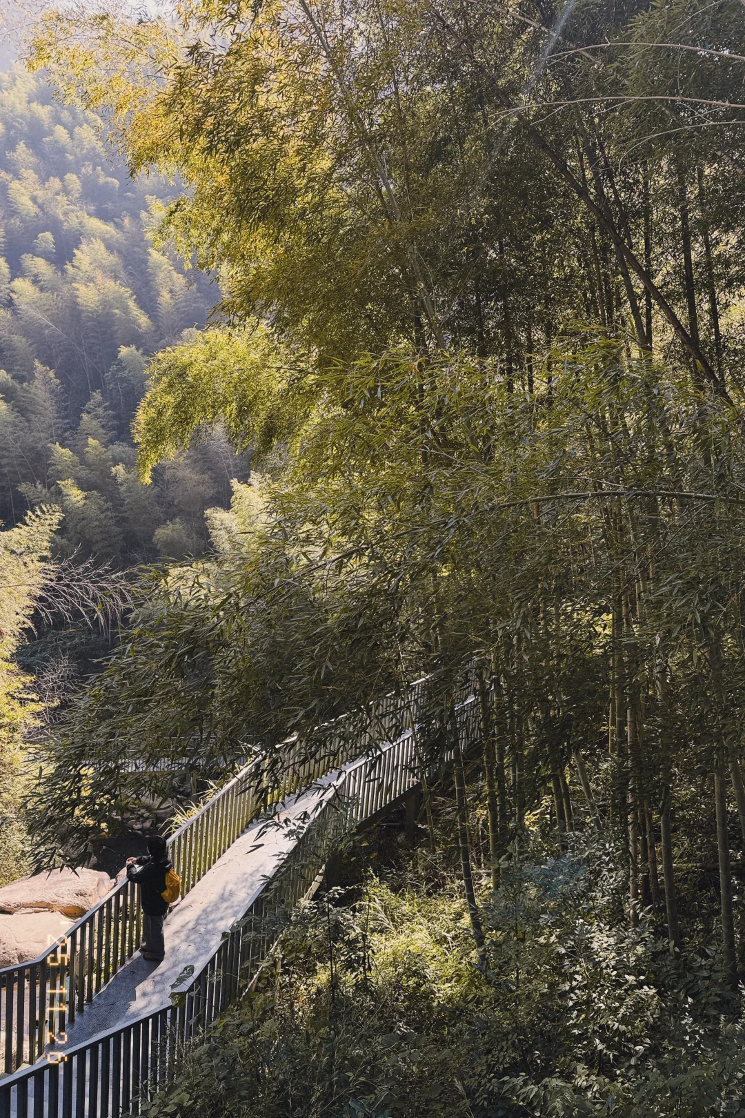 风声，鸟叫声和流水声，倾听大自然的声音