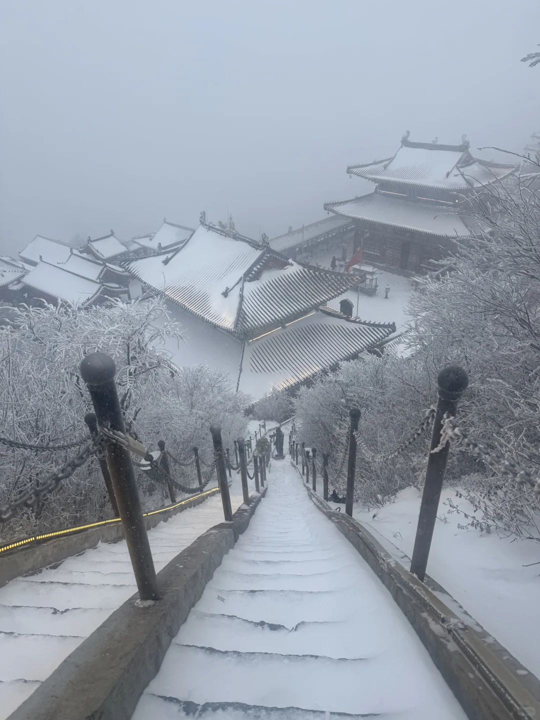 11.18老君山已回😂说点难听的大实话