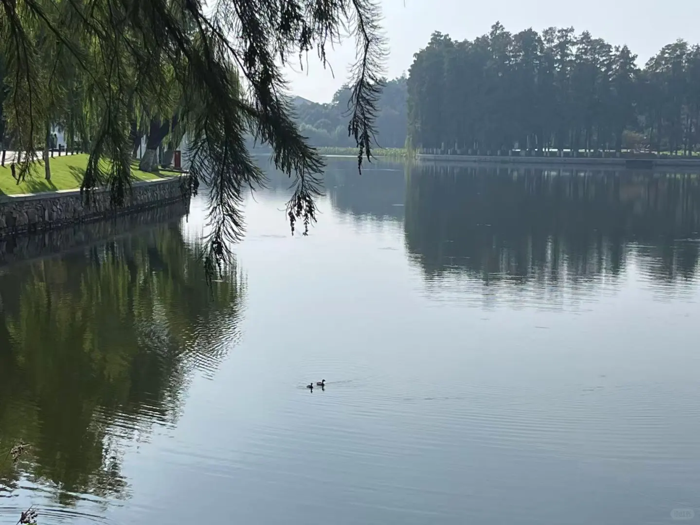 秋游来听涛景区就够啦