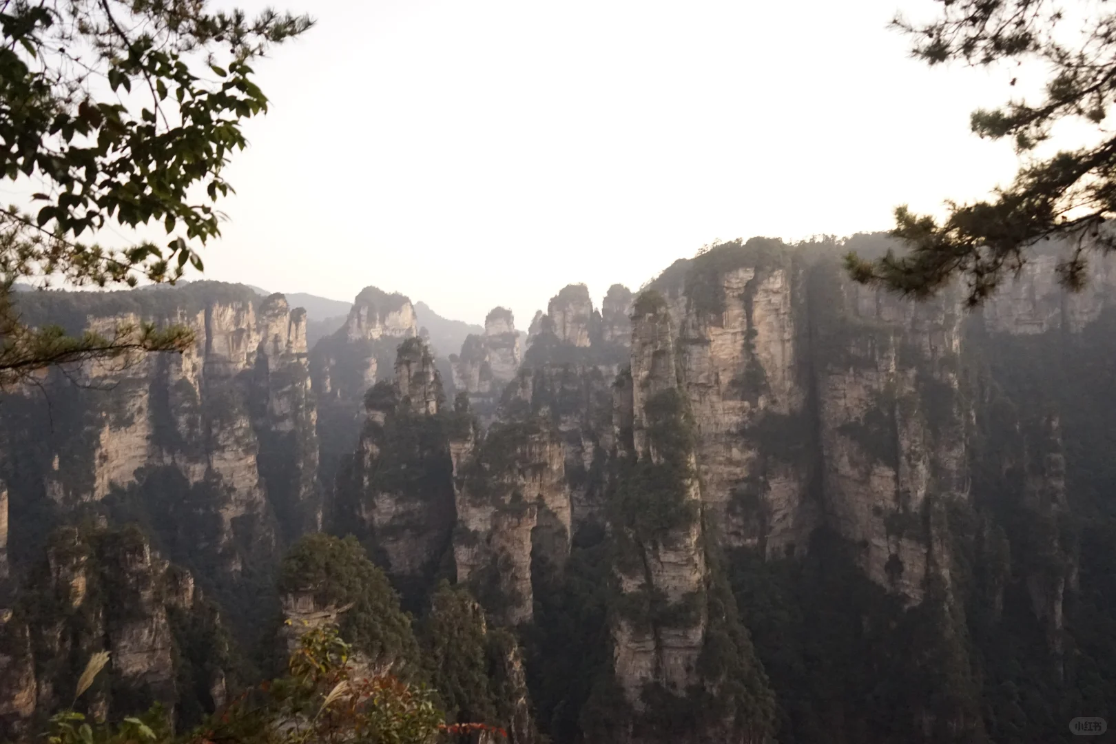 张家界攻略！避坑 + 省时