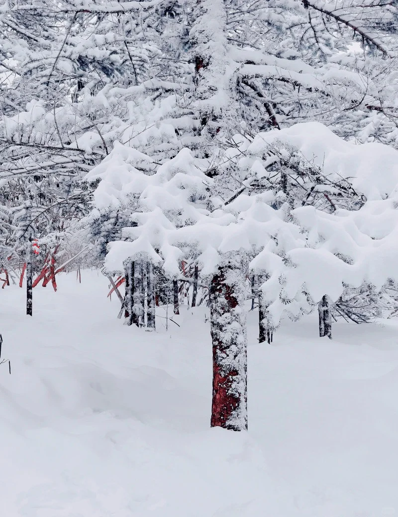 这是圣莫里茨？NO!这是祖国的昆明❄️！