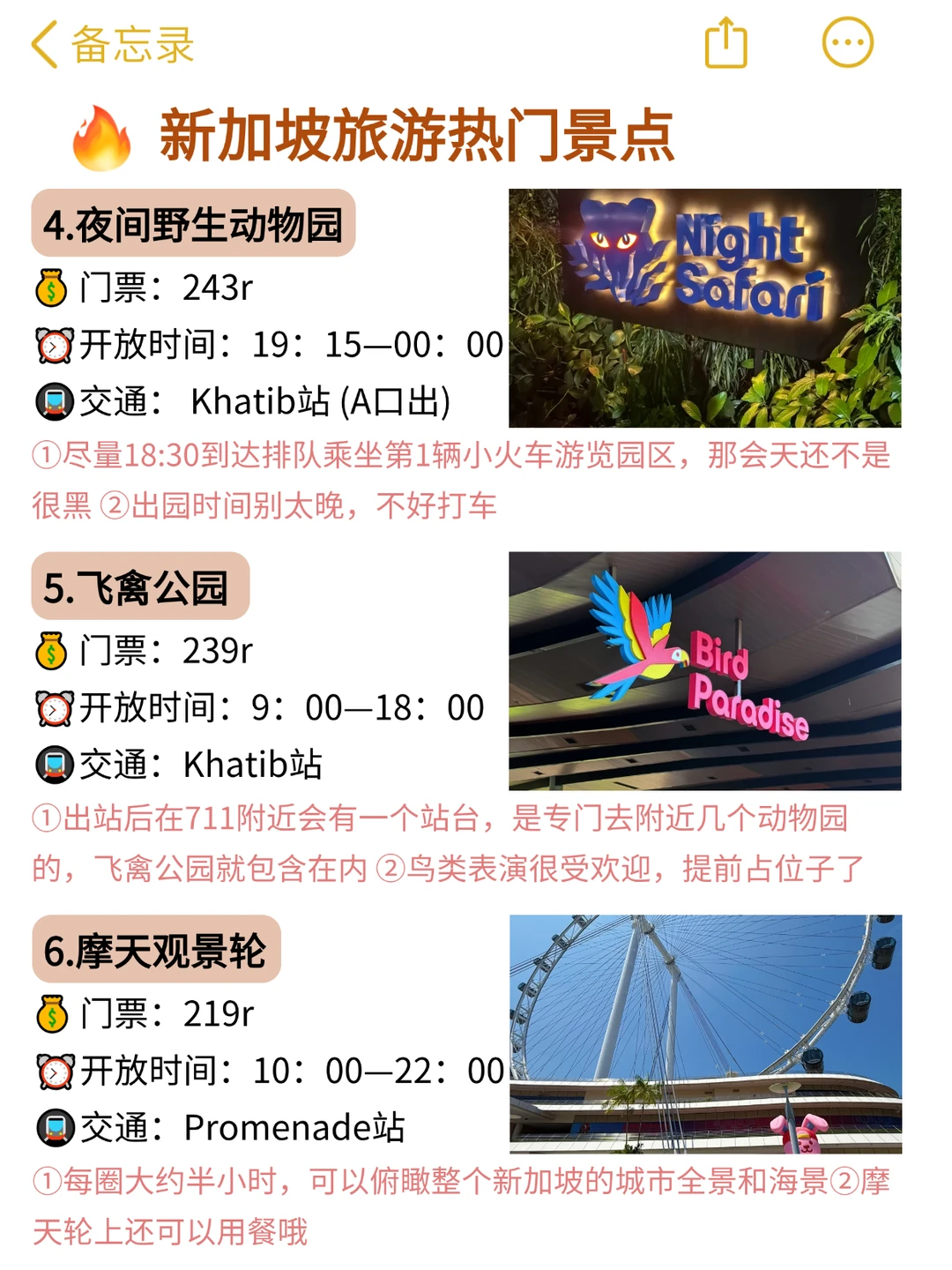 对自己做的新加坡攻略满意的睡不着觉…