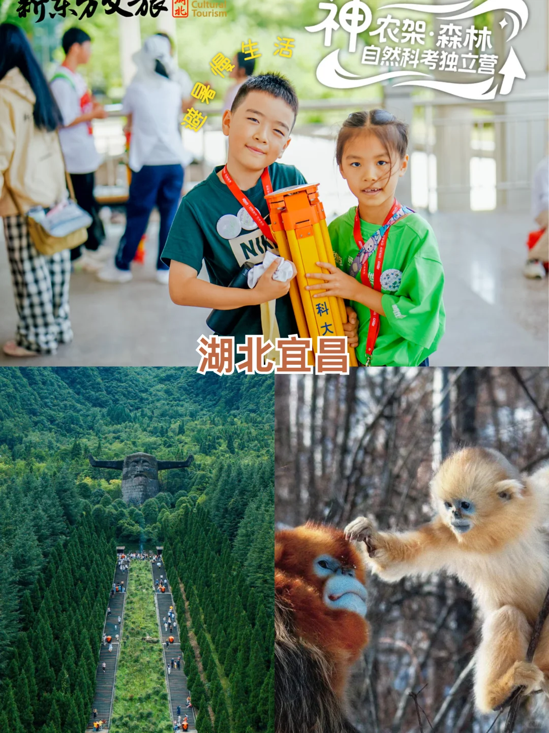 寒假躺平式遛娃路线，不费妈还超好玩！