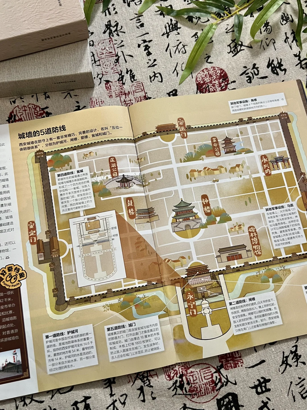 值得亲子旅行二刷的历史科普！被惊艳到！