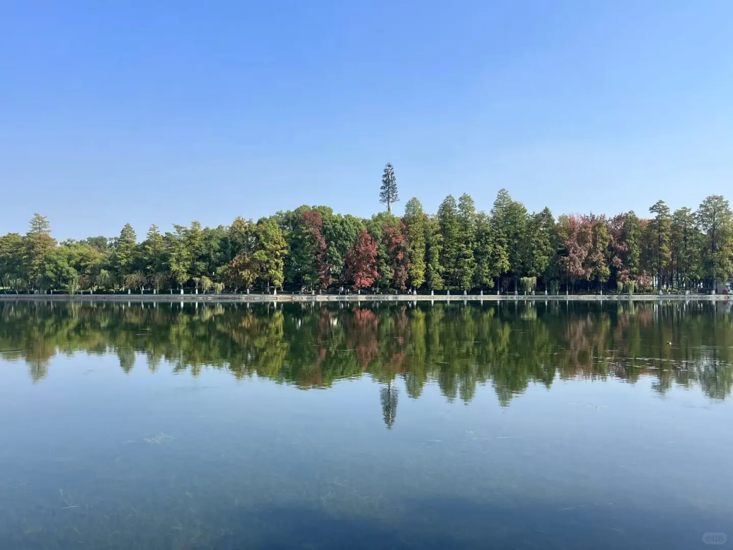 秋游来听涛景区就够啦