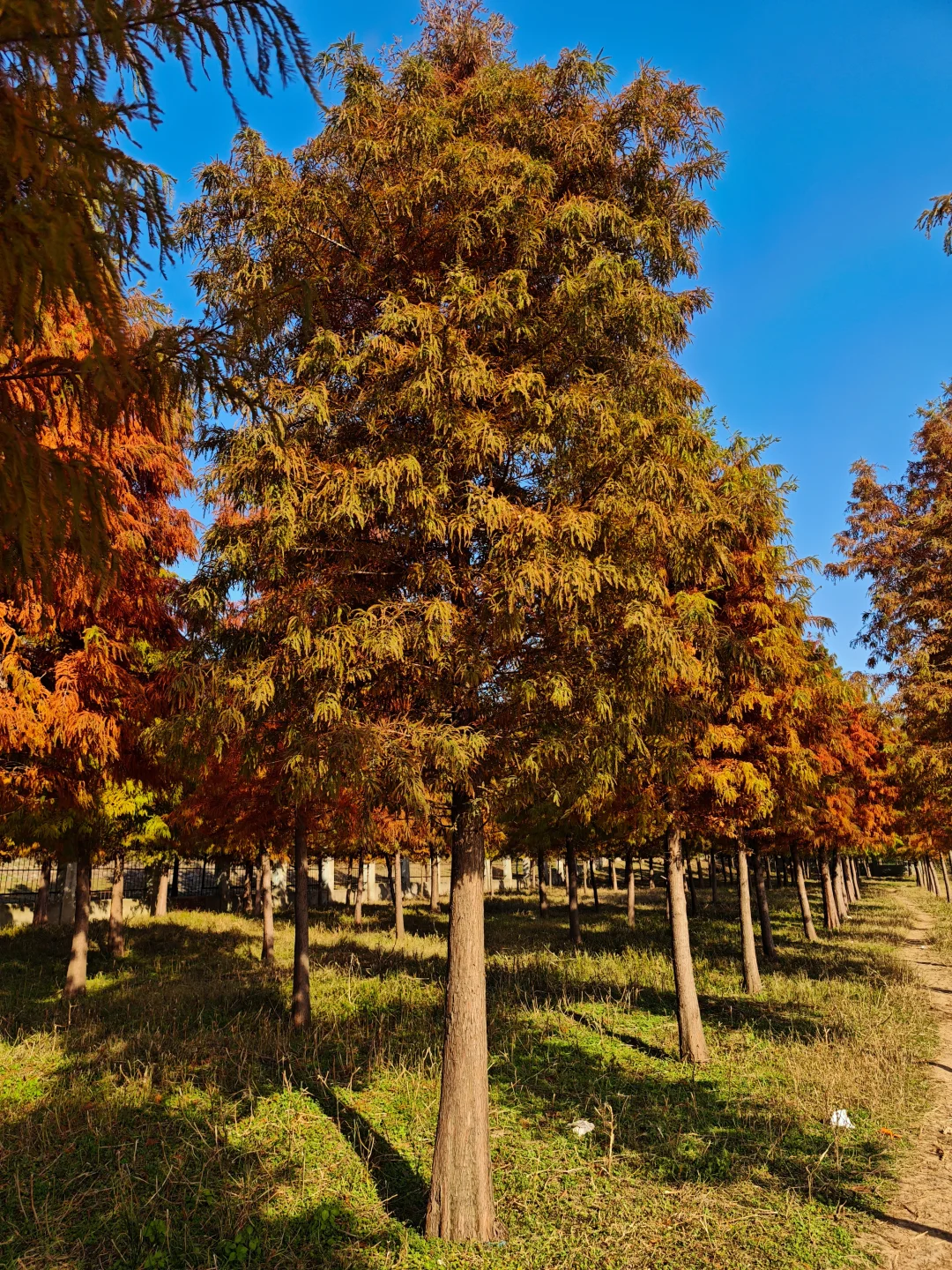 蚌埠适合周末出游