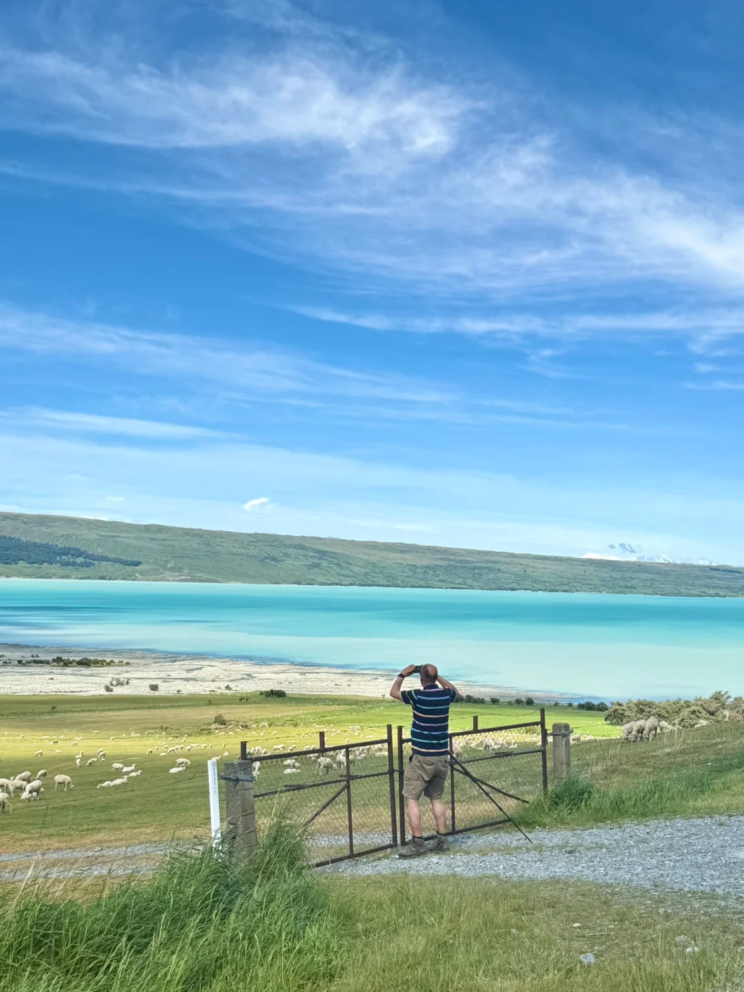 国人对新西兰的开发只有1%🇳🇿附攻略
