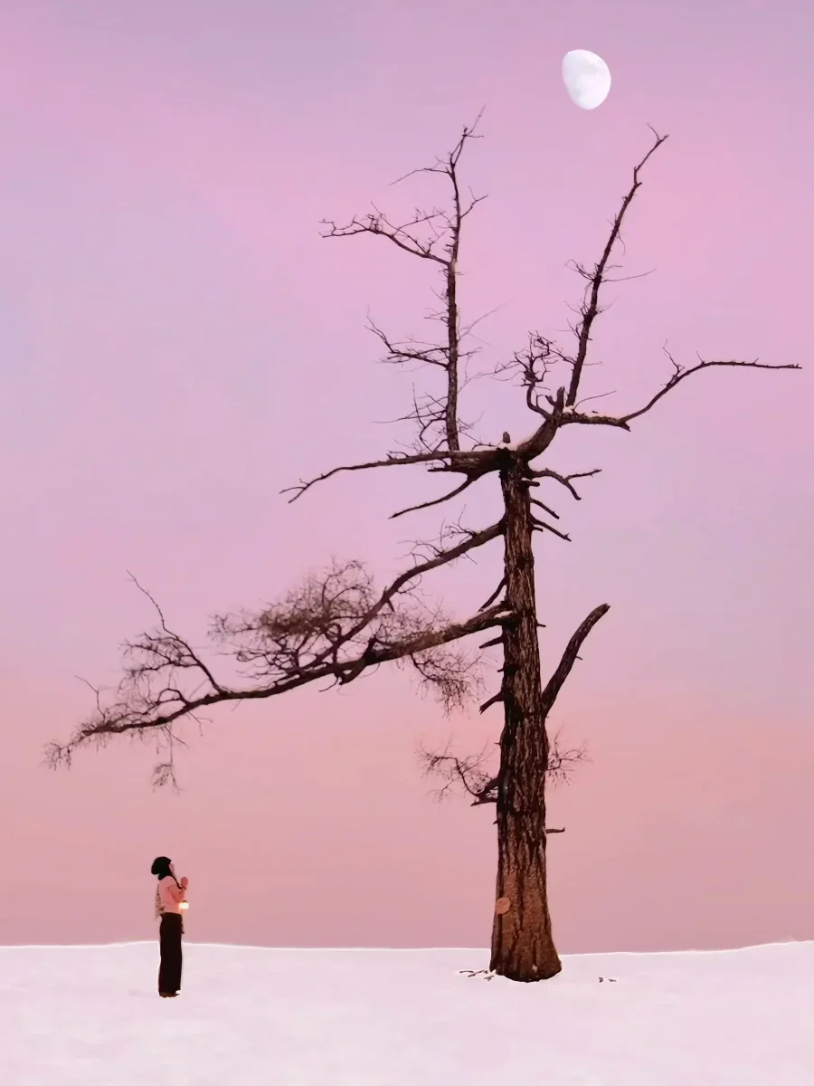 新疆冬季极光！8天7晚纯玩小团！1人也可报