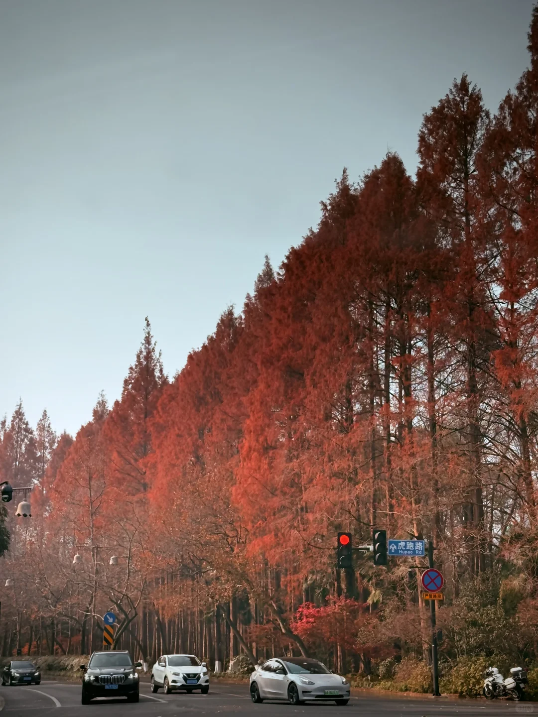 杭州永福寺的红叶应该是日本京都的平替了～